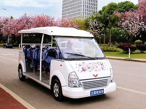 威威观光车 (469).jpg
